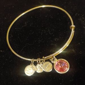 Alex and Ani charm bracelet